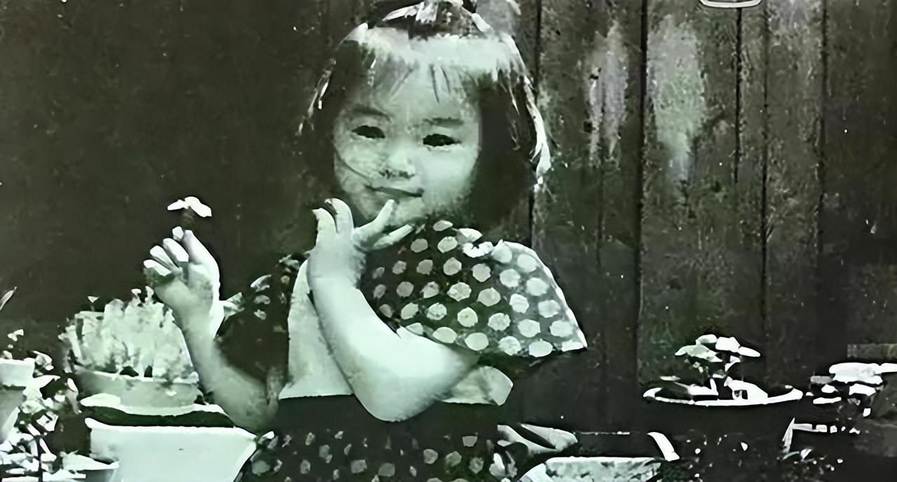 pp电子-堕落的“清纯女星”酒井法子，这张腿间蝴蝶背后，隐藏着的故事