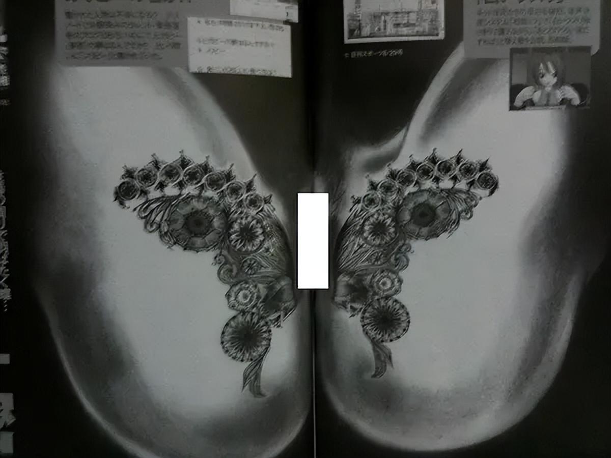 pp电子-堕落的“清纯女星”酒井法子，这张腿间蝴蝶背后，隐藏着的故事